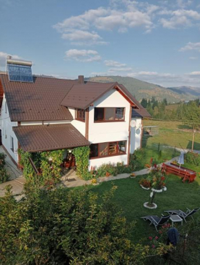 Casa Vasy